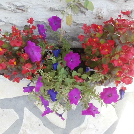 Le Clos Fleuri Hotel Médis Екстериор снимка